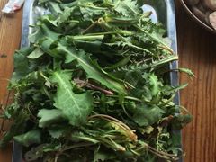 刚采的野菜上桌了-古韵山庄