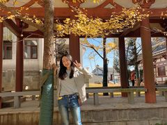 -千年银杏谷文化旅游区