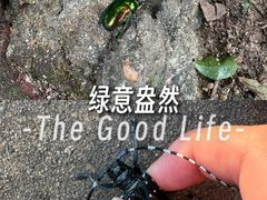 -火炉山森林公园