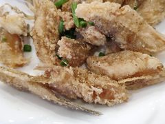 -金海湾海鲜排档(朱家尖店)