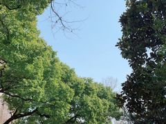 -徐家汇源景区-衡山公园