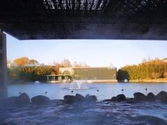 -春晖园度假酒店温泉