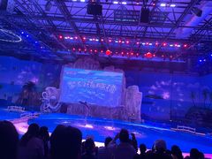 -华夏文旅海洋公园