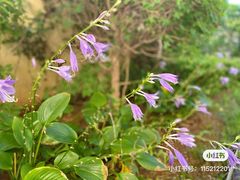 -大连金石滩绿发温泉假日酒店