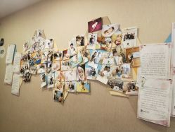 -海豚湾高端月子会所(黄浦店)