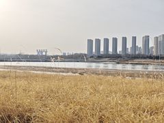 -咸阳湖景区