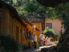 -杨家堂村