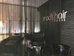 点击看大图 -mod's hair