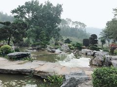 -东莞植物园