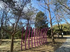 -玲珑塔公园