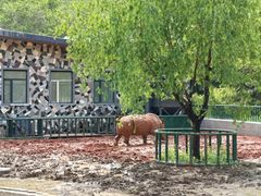 -哈尔滨北方森林动物园