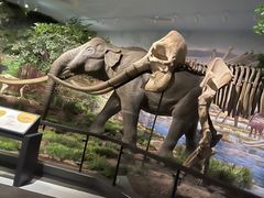 -湖南省地质博物馆