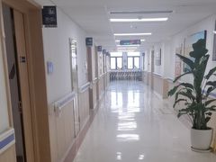 -上海市第四人民医院