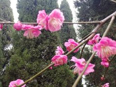 -白塘生态植物园
