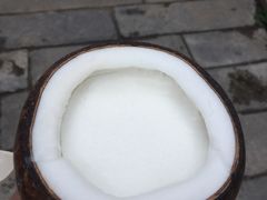 -志龙皇冠吃货椰子铺