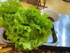 生菜-老三李村河底戳子肉(总店)