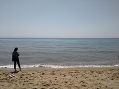 -海滨浴场