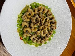 -子福慧(虹桥店)