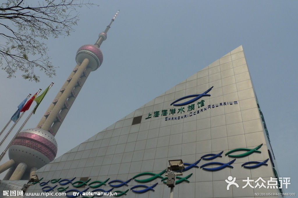 上海海洋水族馆图片 - 第4张