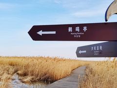 -盐城丹顶鹤湿地生态旅游区