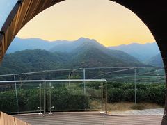 -龙坞茶村