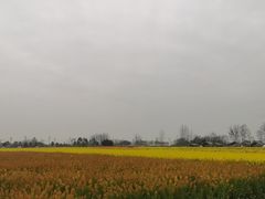 -中国天府农业博览园