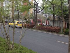-新江湾城公园