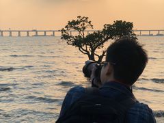 -宝安西湾红树林湿地公园