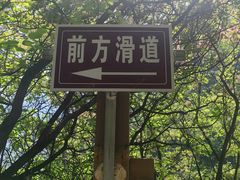 -云梦山