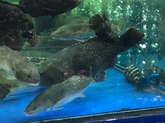 -东江海鲜酒家(艺都分店)