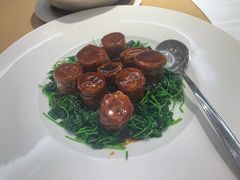 -圆苑(金茂店)