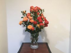 -小先生琴行(科园路店)