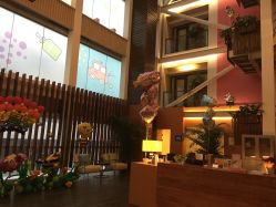 -知爱母婴专护全套房月子会所(新华路店)