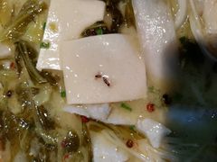 -鱼亨小鲜酸菜鱼(大信店)