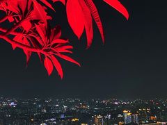-广州柏悦酒店·悦吧·顶楼露天酒吧