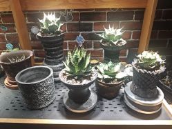 -青木造型HAIR·あおき髪を刈る潮人店