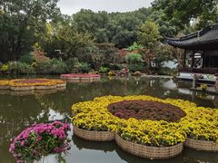 -汇龙潭