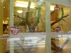 -龙猫仔乐园(惠福东路店)