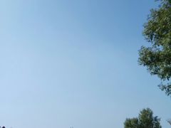 -武清南湖绿博园