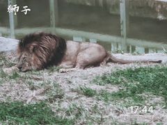 -西安秦岭野生动物园