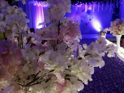 -保定金沙芝柏婚礼策划