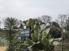 -LALA LAND日落半岛露营地