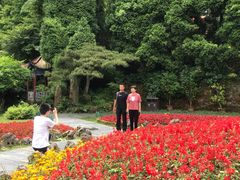 -庐山风景区花径公园