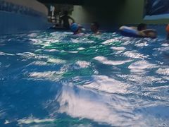 -重庆海昌加勒比海水世界