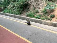 -黔灵山公园