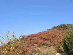 -北京西山国家森林公园