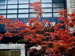 -苏州本色美术馆