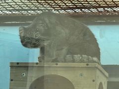 -青藏高原野生动物园