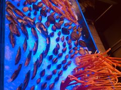 -北京西国贸大酒店