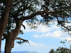 -海南热带雨林国家公园吊罗山景区